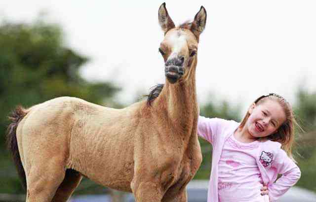 15 Animals With Down Syndrome Whose Photos Will Melt Your Heart Viraltalks Stories Videos